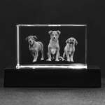 Custom Image Etched Crystal - Block