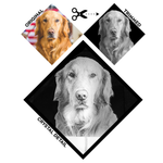 Custom Image Etched Crystal – Cube