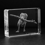 Custom Image Etched Crystal – Stadium