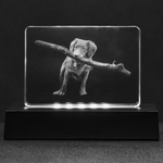 Custom Image Etched Crystal – Stadium